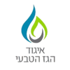 איגוד הגז הטבעי 